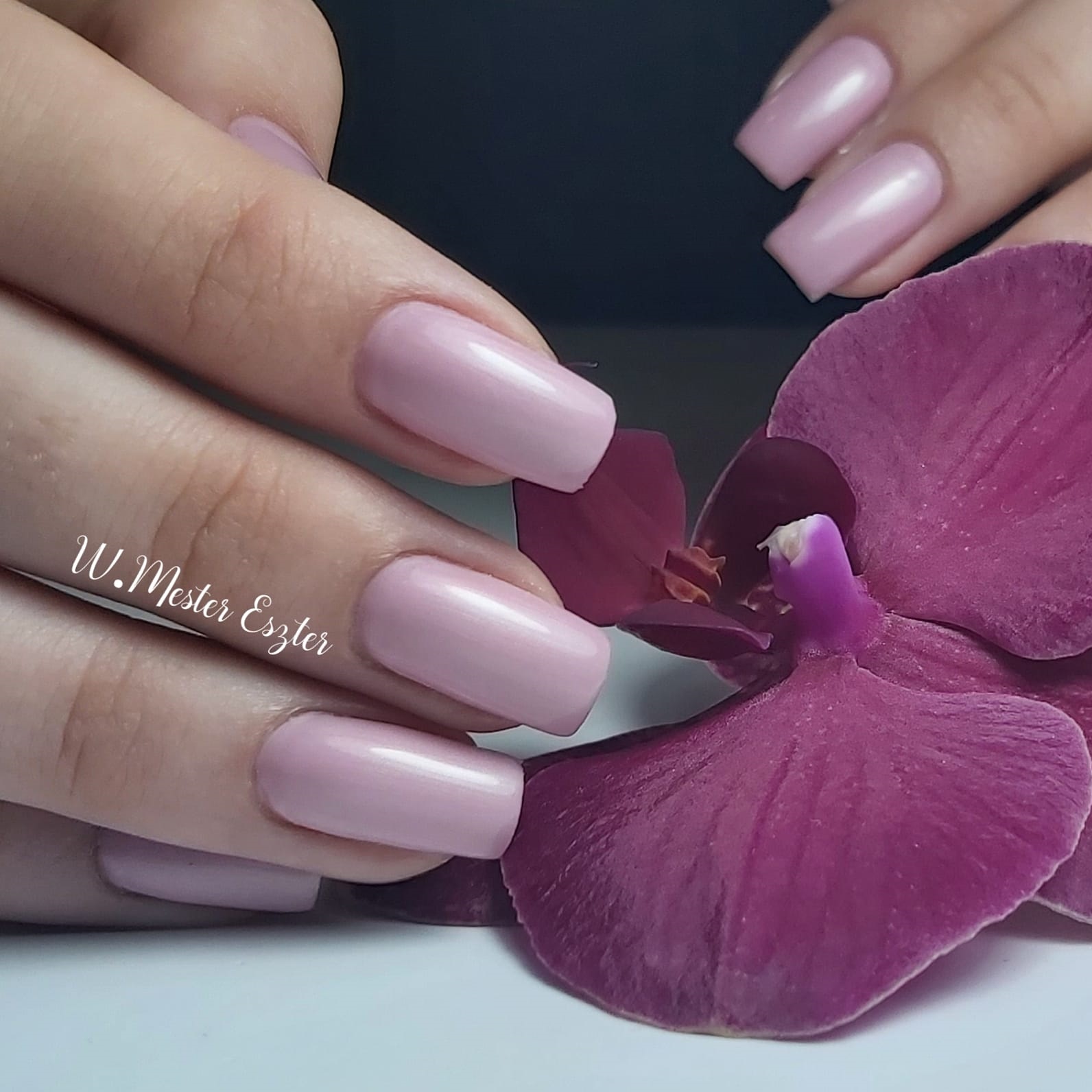 Venalisa UV/LED Gél Lakk No.950 7.5 ml 6