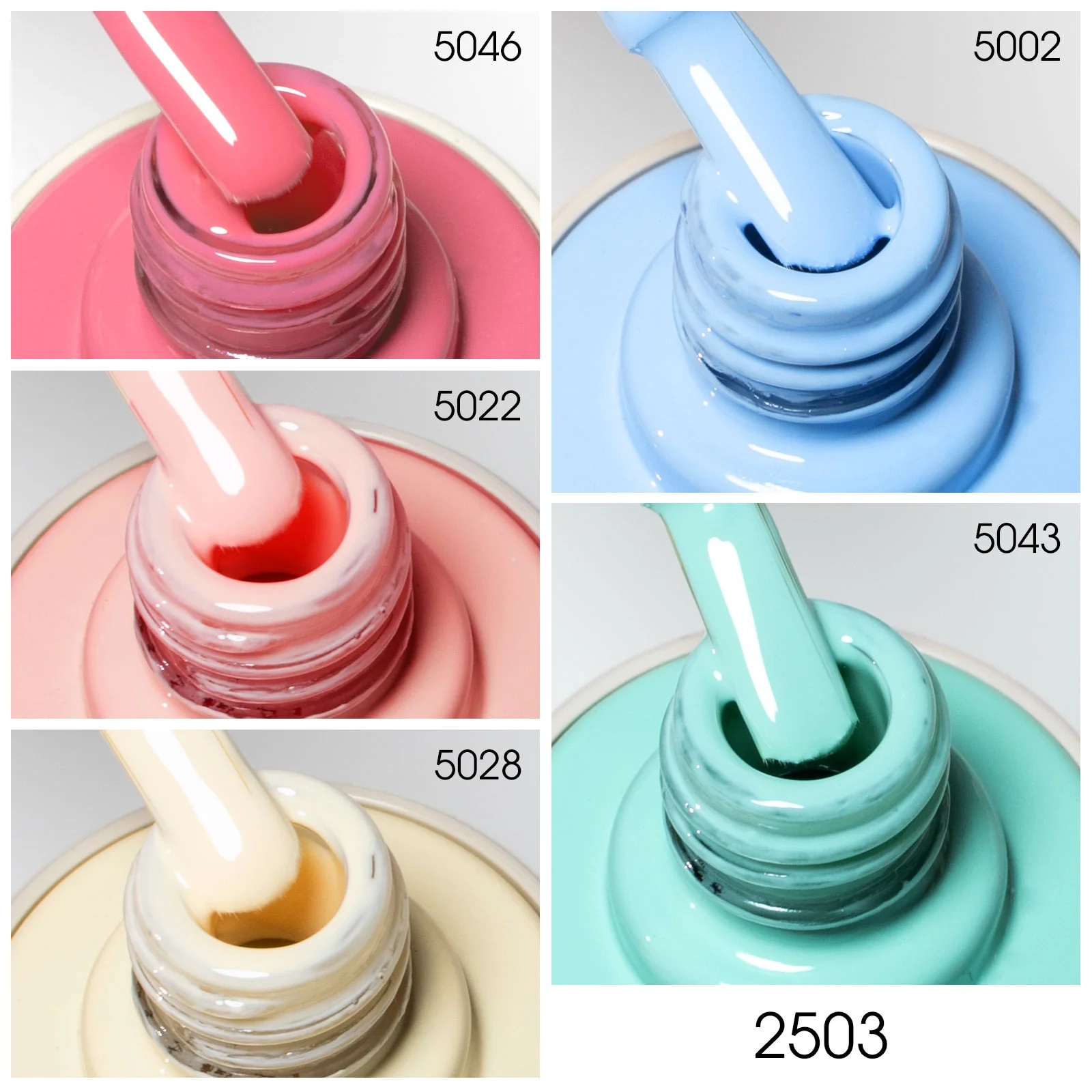 Venalisa 5 db-os UV/LED Gél lakk szett - 5x10 ml - V2503 2