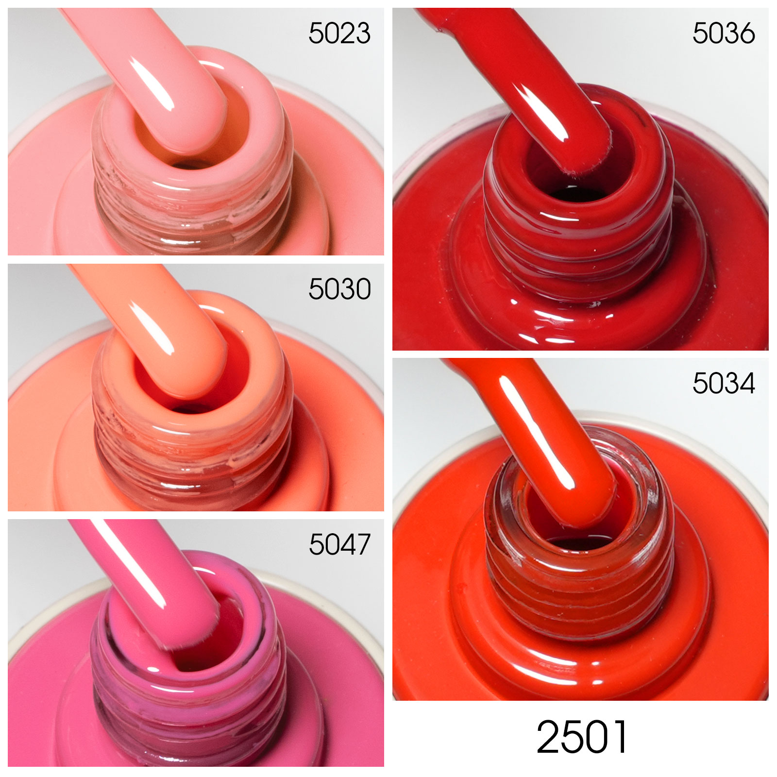 Venalisa 5 db-os UV/LED Gél lakk szett - 5x10 ml - V2501 8