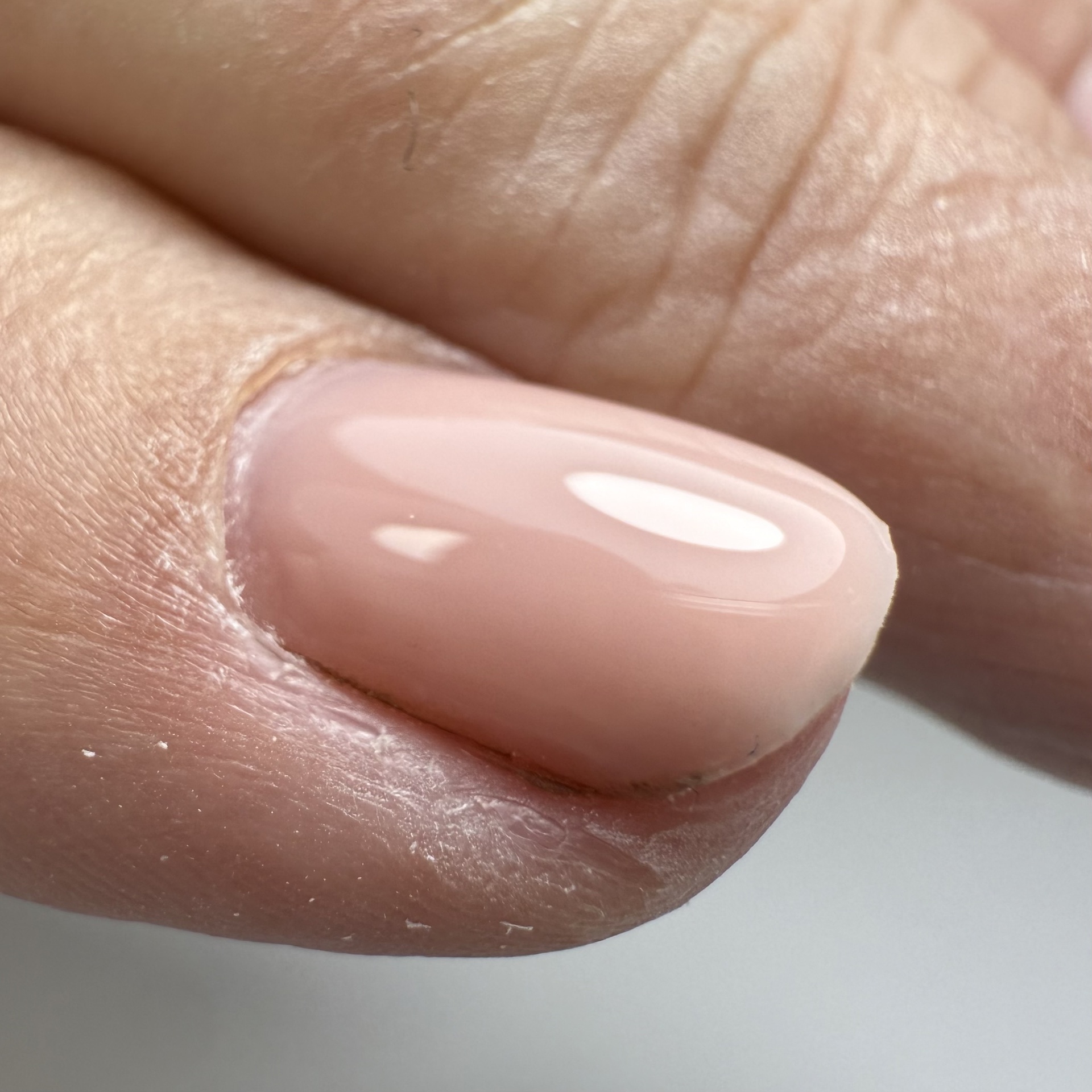 CANNI HEMA FREE Quick Builder Gel - 9 ml - X22 Warm Beige 4